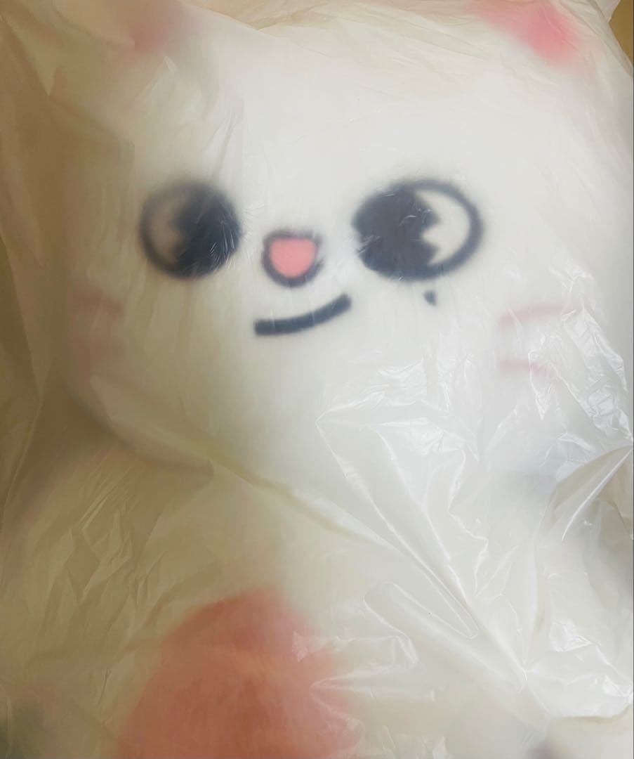 スキズ　straykids SKZOO ジニレット テディベア　ペンミ　新品