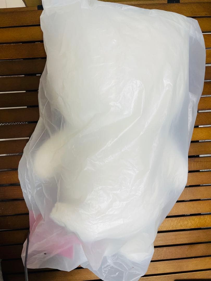 スキズ　straykids SKZOO ジニレット テディベア　ペンミ　新品