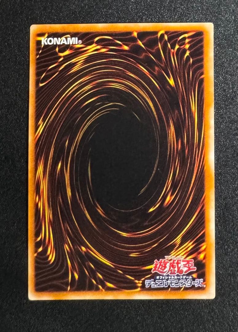 超魔導剣士ブラックパラディン/魔法使い族/ 遊戯王/レリーフ