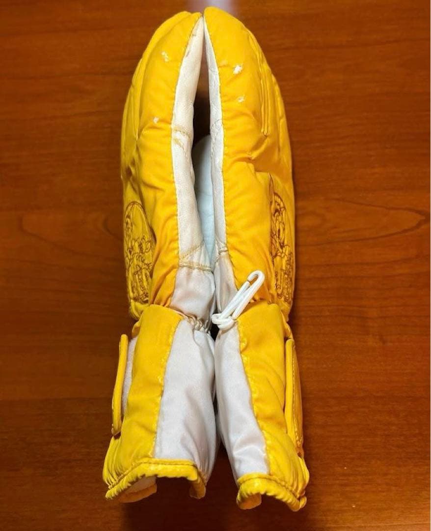 スキー ICEBERG - Gloves for the town