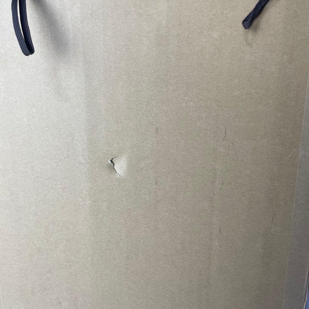 梅澤恭介 油彩 油絵 猫 アメリカンショートヘア アメショ 絵画