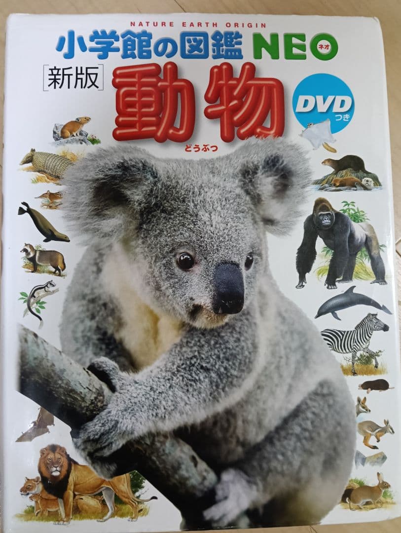 小学館の図鑑　NEO 新版　昆虫　花　恐竜　動物　鳥　魚 新版 学研　LIVE