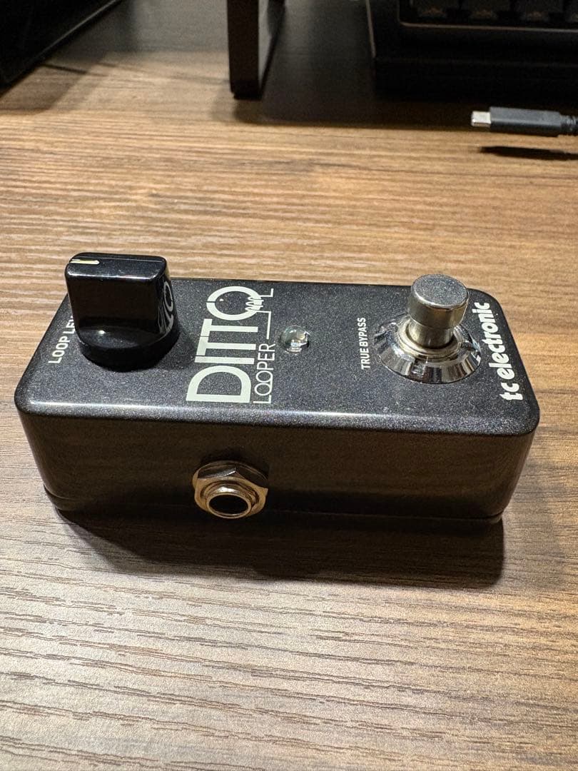 【箱あり】DITTO LOOPER