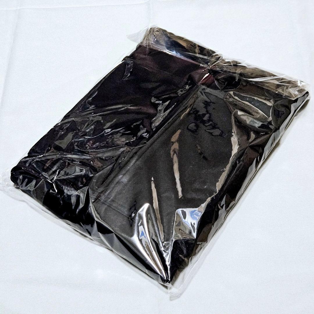 MICHAEL SCHENKER GROUP 2026ジャパンツアーパーカー