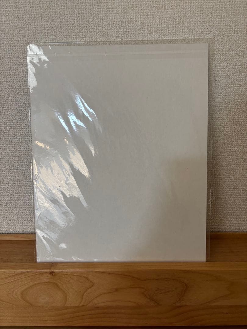 豊田 弘治＆花井 祐介 アートポスター