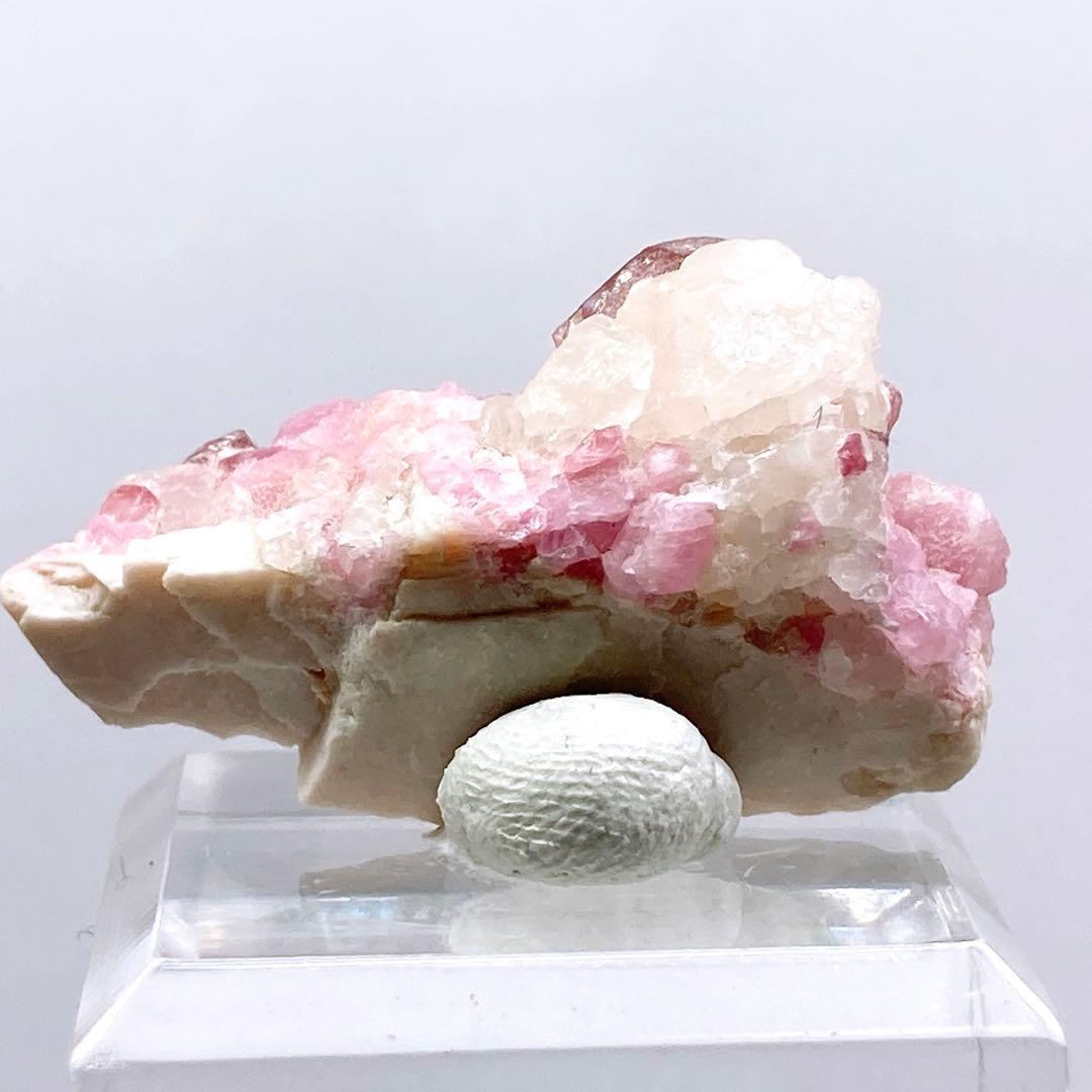 鉱*ー様 トルマリン　ルベライト　原石　鉱物標本　天然石　395