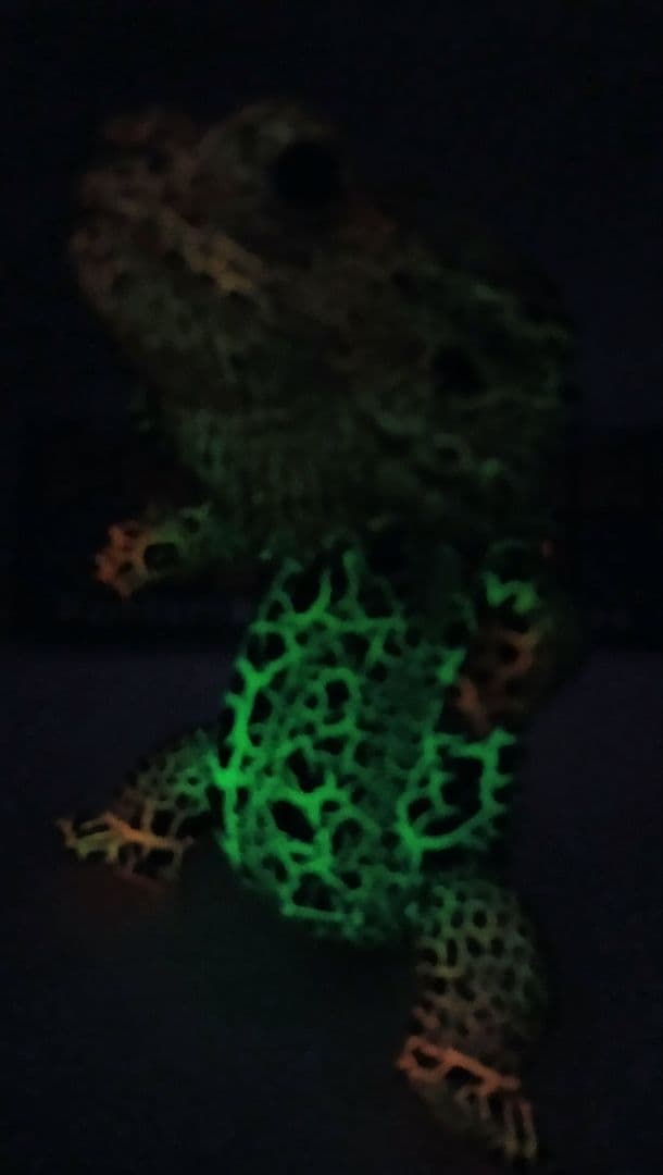 ペインターネット フトアゴン ソフビ 蓄光レインボークラック【開封品】