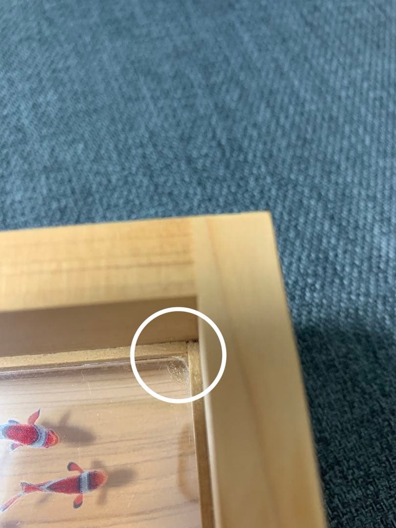 カクレクマノミ　金魚アート 枡