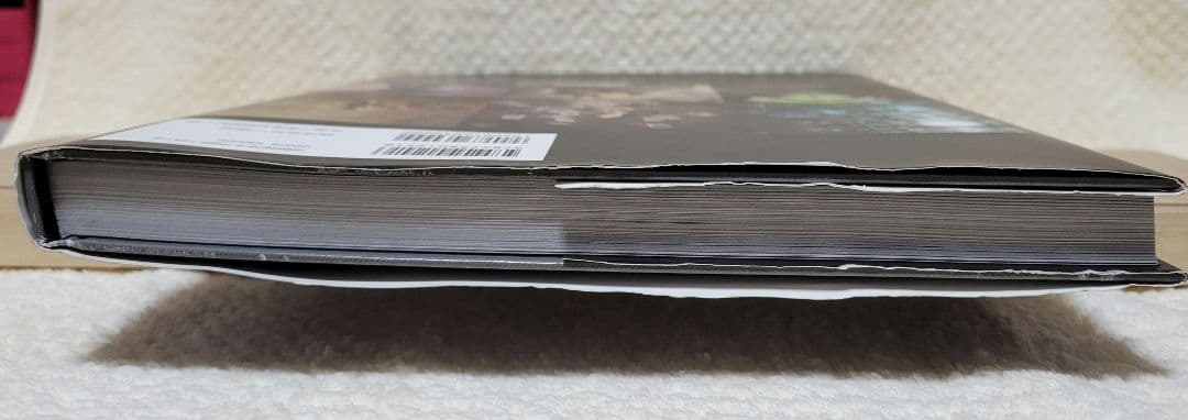 【設定資料集】アートオブアリスマッドネスリターンズ 【日本語版】