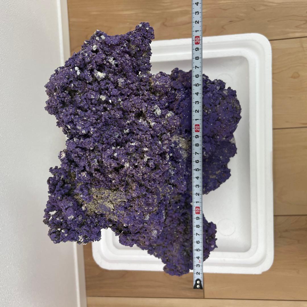 人口ライブロック 偽岩 レプリカライブロック サンゴ 人口 海水 水槽 ②