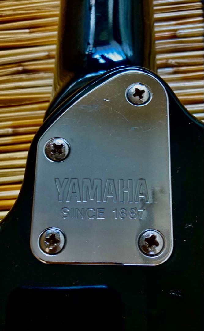 ☆値下済　☆HSHに改造モディファイして新機能満載　YAMAHA RGS112P