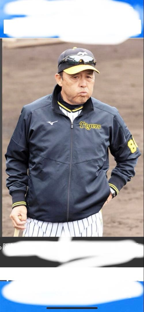 阪神タイガース　プロコレ　ウィンドブレーカー