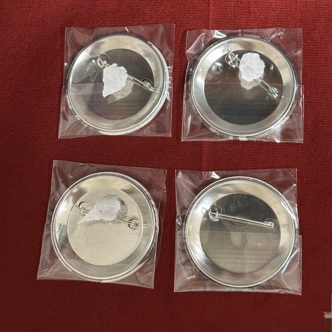 義勇 鬼滅の刃 兄弟の絆 缶バッジ KV キービジュアル缶バッジセット 立志編