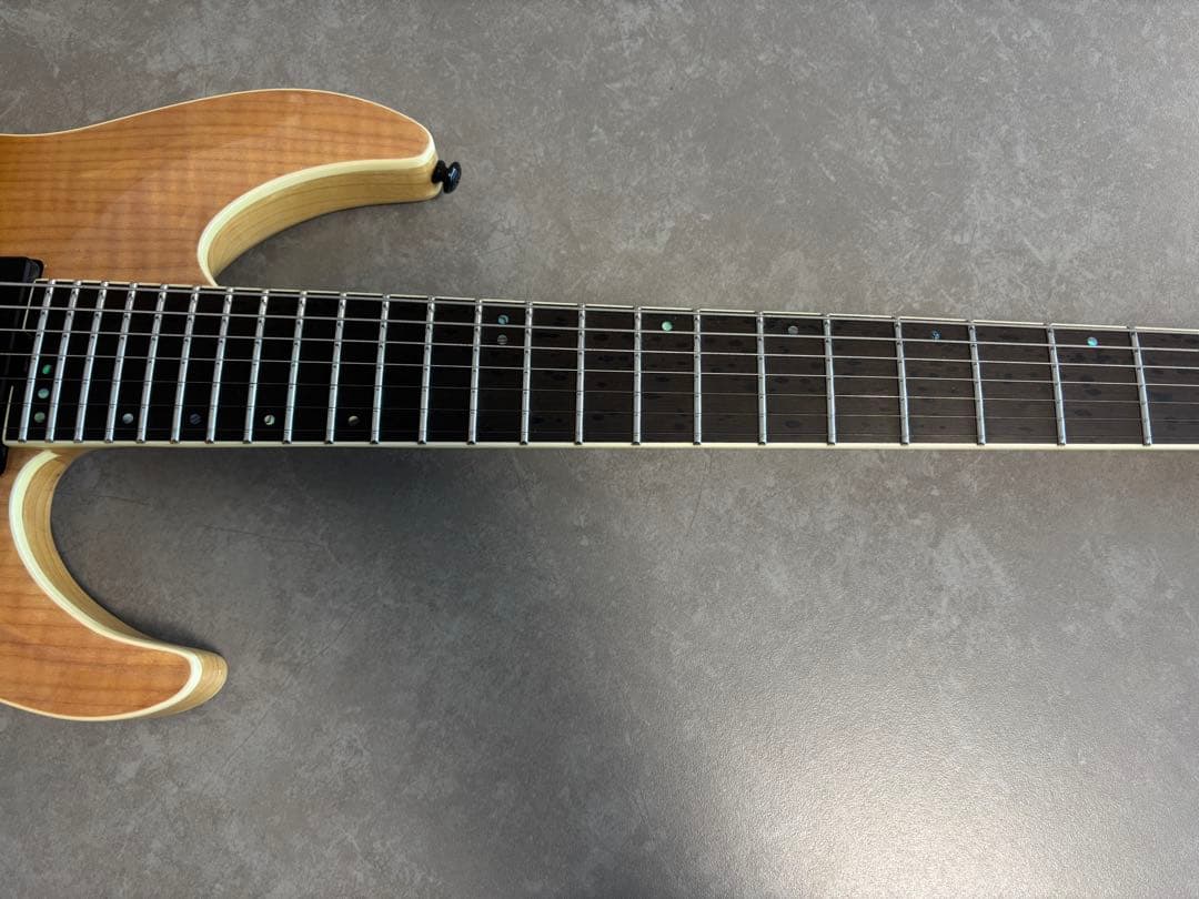 SCHECTER(シェクター) C-7 FR SLS Elite 7弦ギター