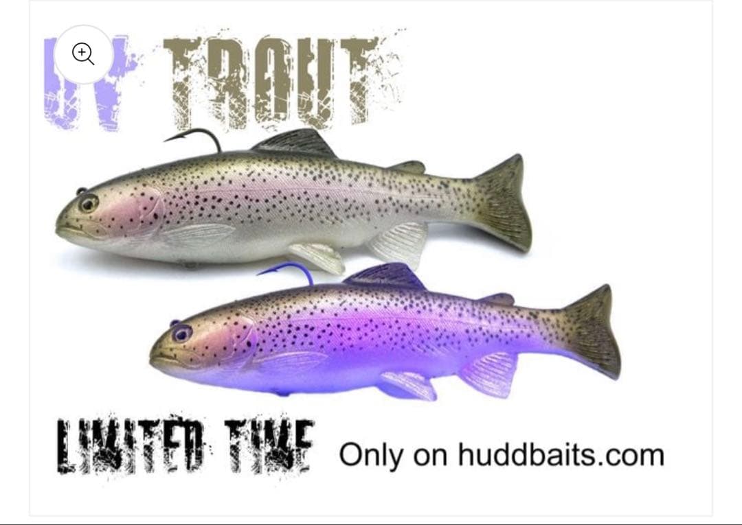 【レア】ハドルストン8インチROF-12 UVレインボー