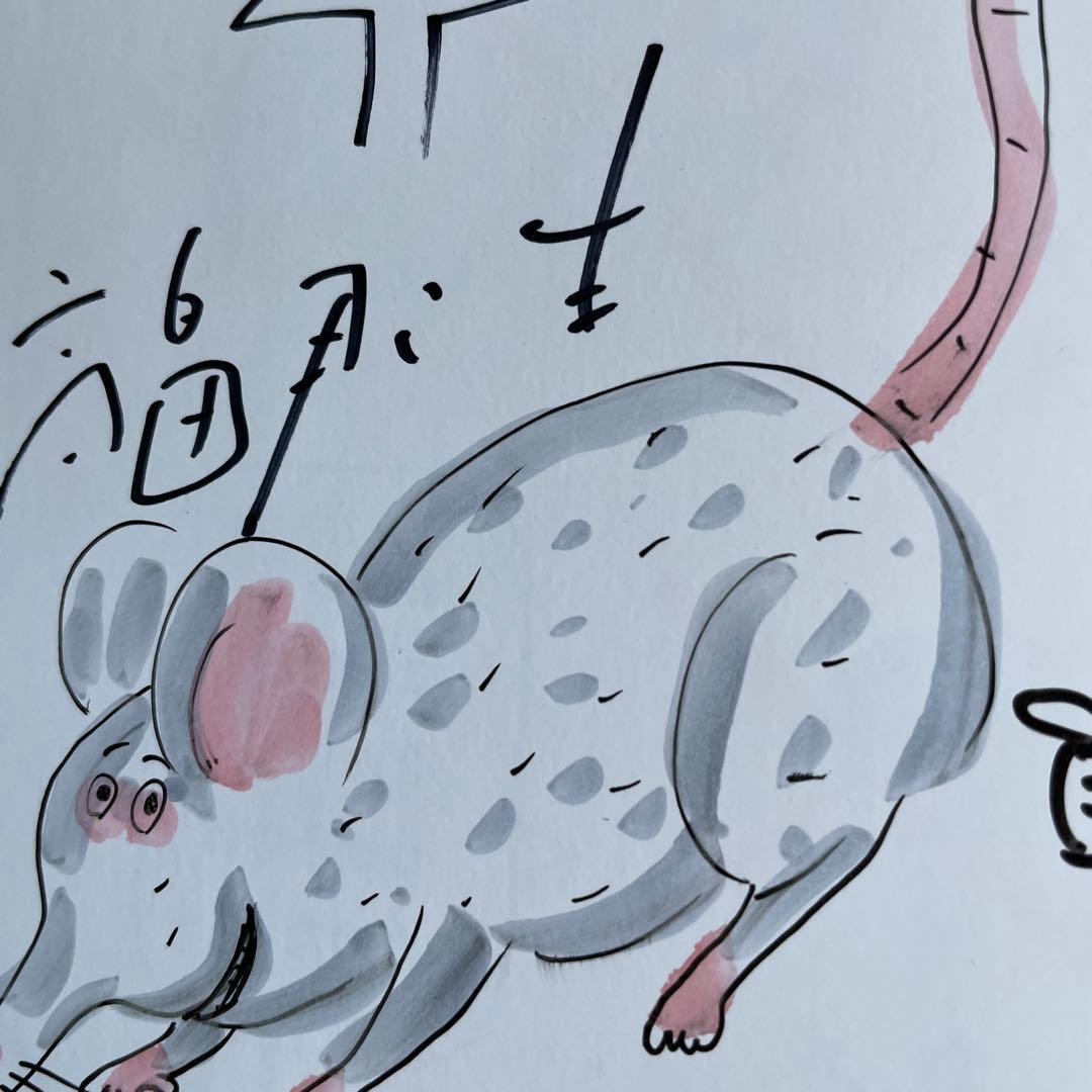 初版　帯付き　鈴木のりたけサインあり　おえかきしりとり