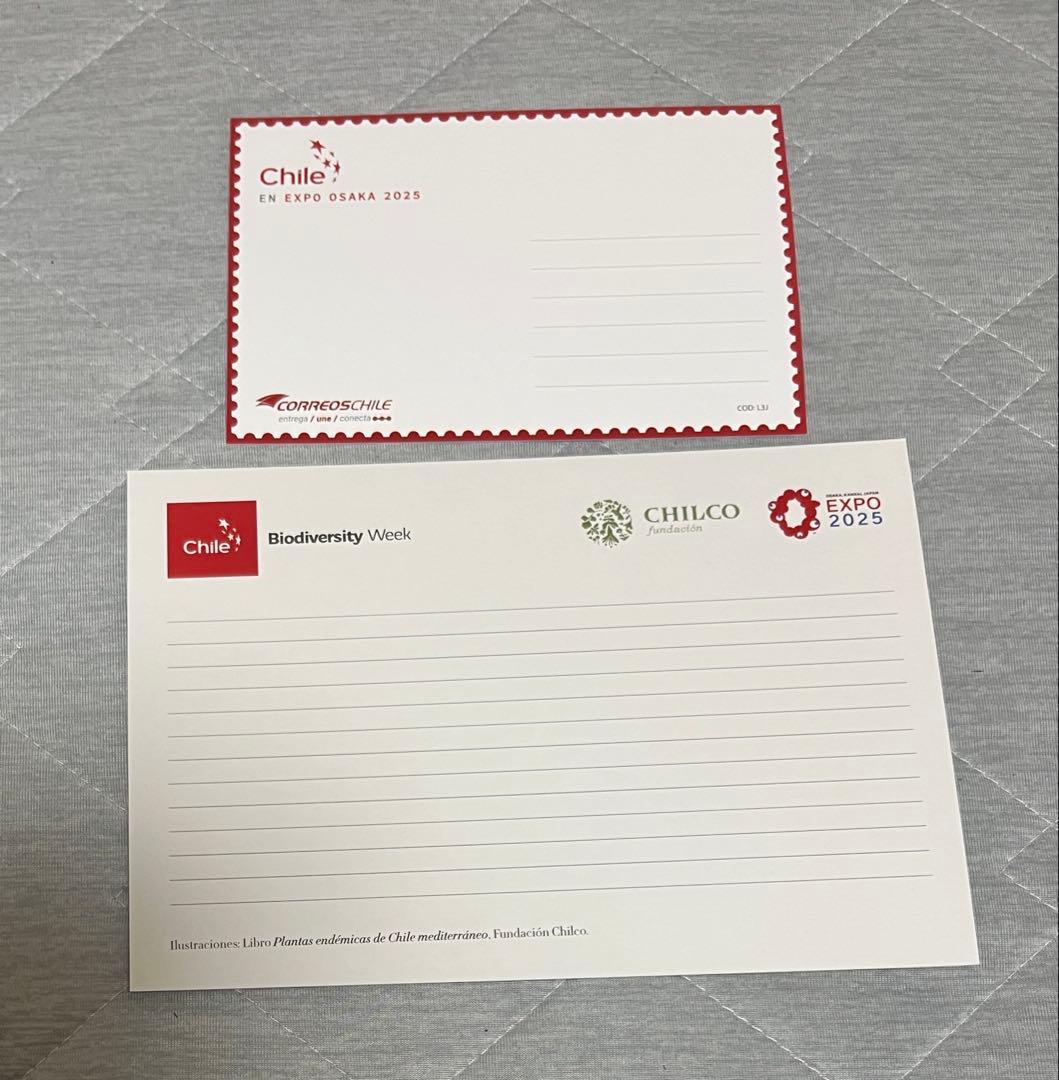 大阪関西万博　チリ　ノベルティセット　トートバッグ　ナップサック　ノート　ペン等