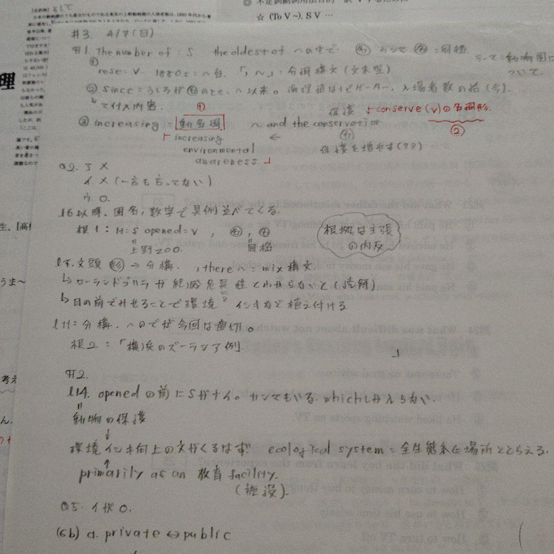 2024年春期講習私大英語 全4講解答解説プリント付き