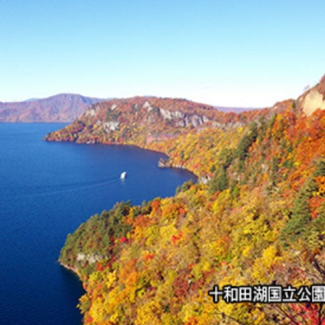 絵画 油絵　関四郎五郎