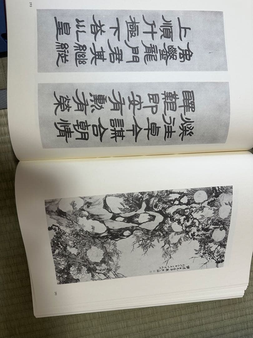 趙之謙　中国　骨董品　古美術品　掛け軸　書　出版物　巨大本　清朝　古書