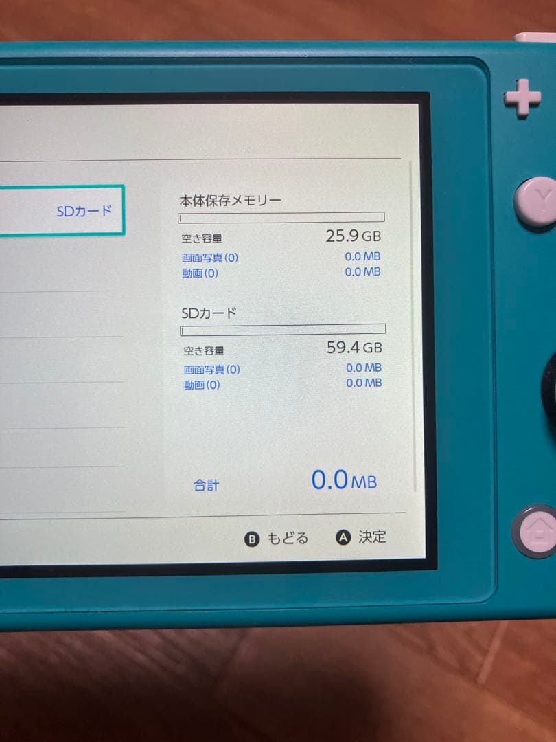シ*ウ様 【オークション中】Nintendo Switch Lite 充電器・S