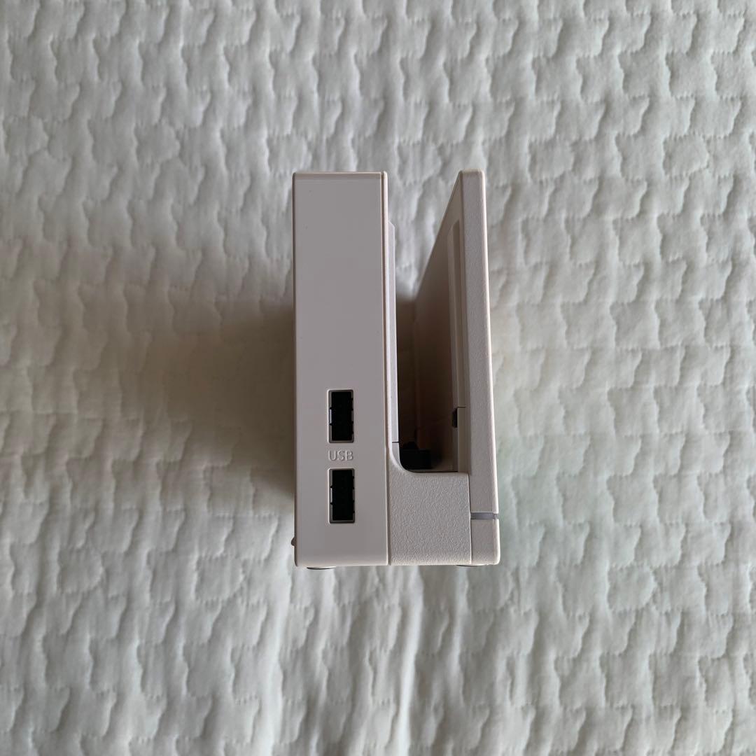 Nintendo Switch どうぶつの森