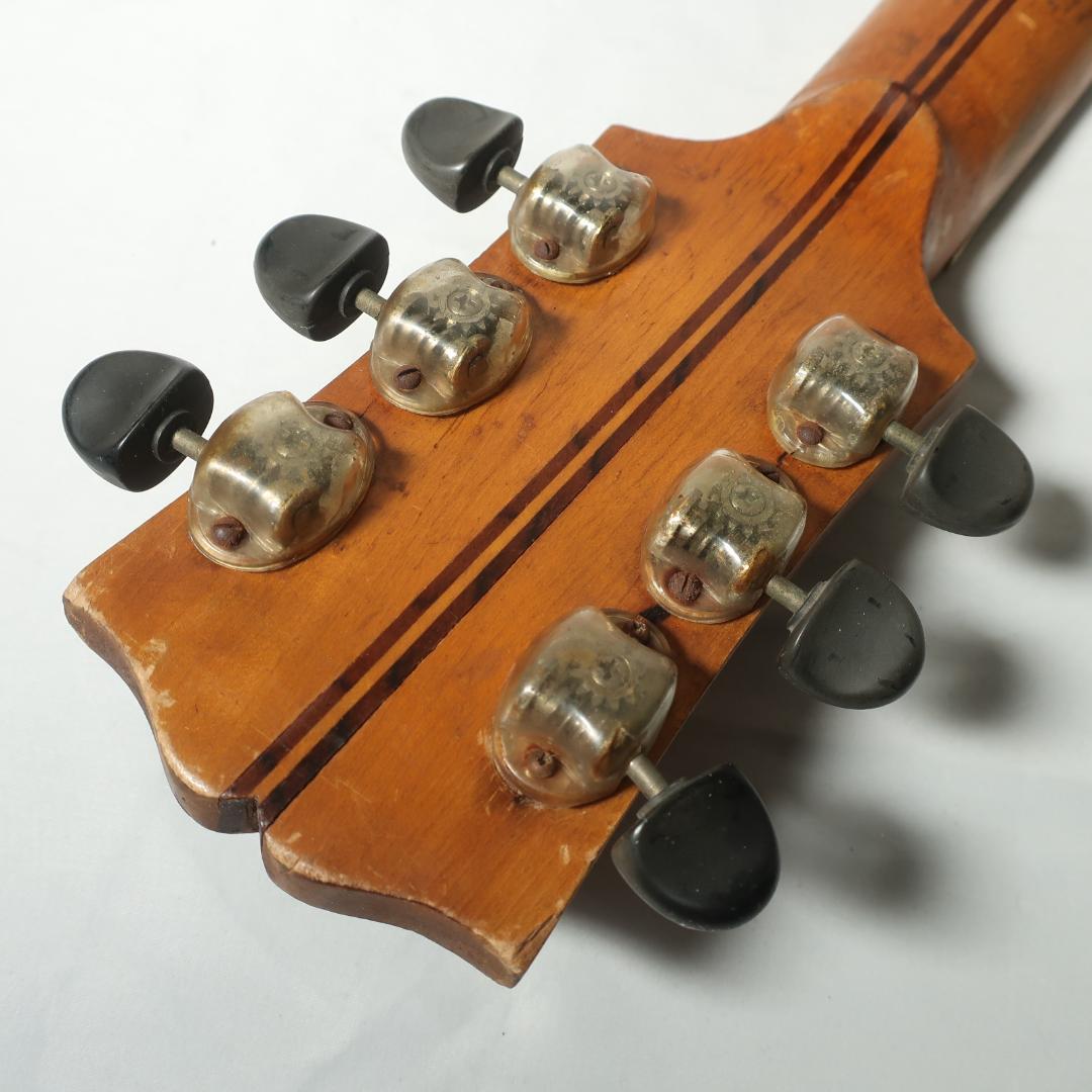 Nardan ナルダン ピックギター ケース付 弦交換済