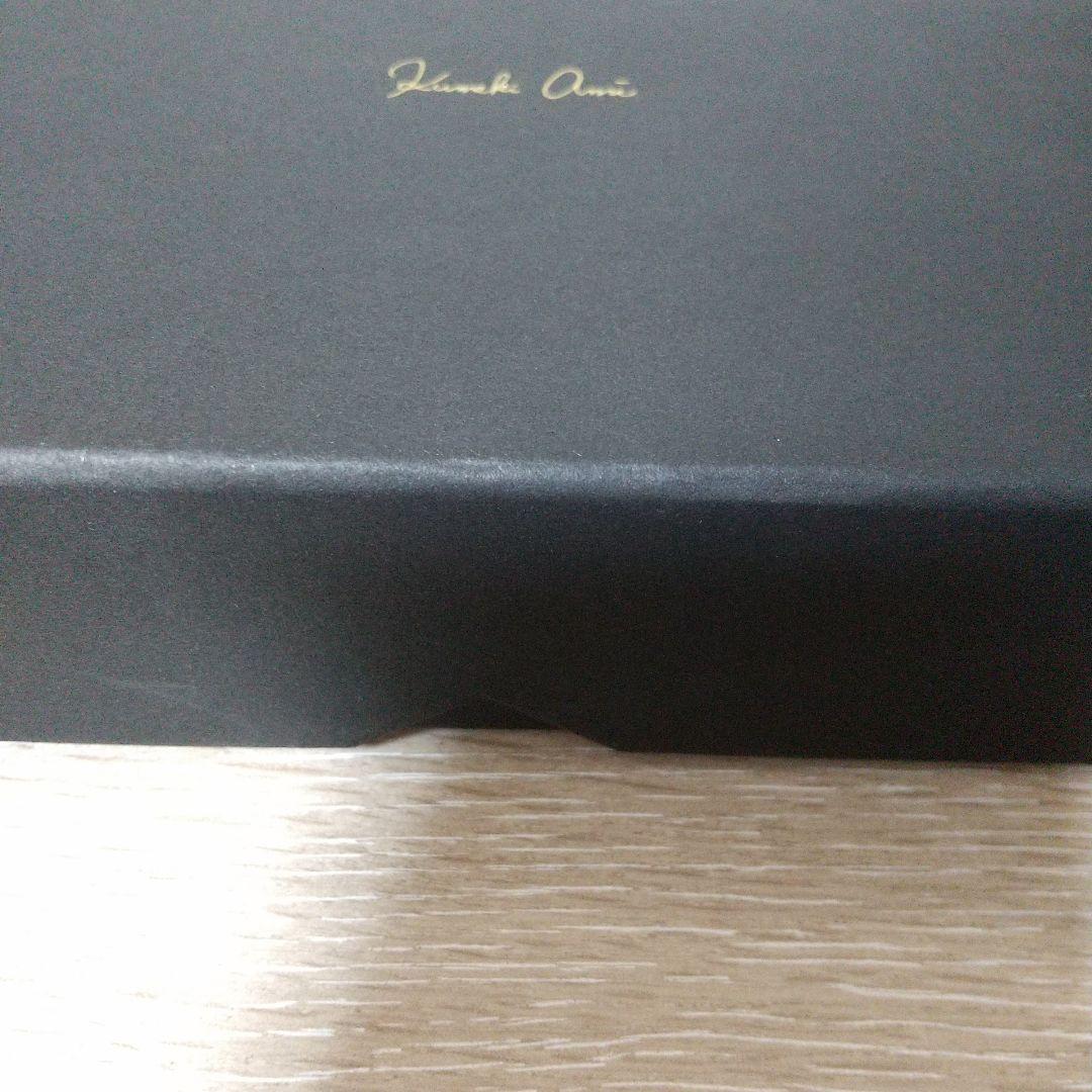 熊木杏里 Kumaki Anri 2枚組　DVD キーホルダー付