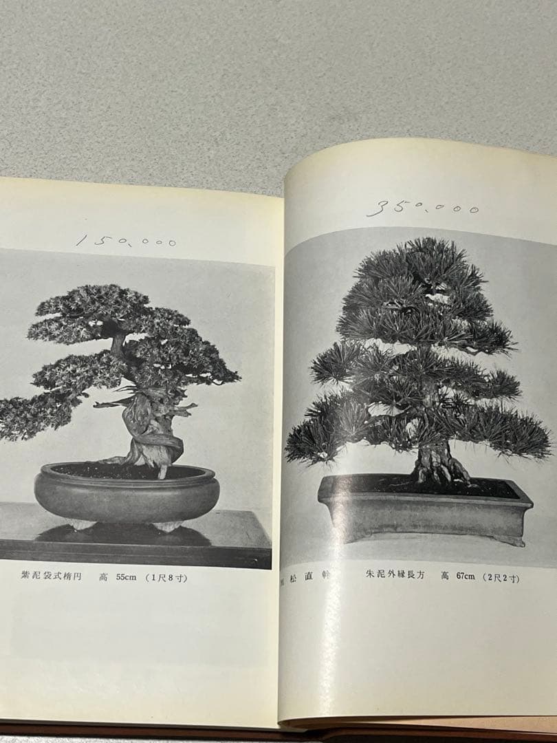 記念帖　盆栽　盆栽鉢　水石