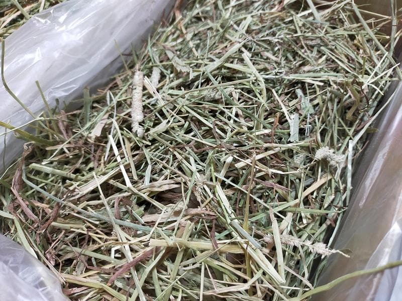 【8/20まで】 カナダ産 チモシー 60kg スーパープレミアム １番刈り