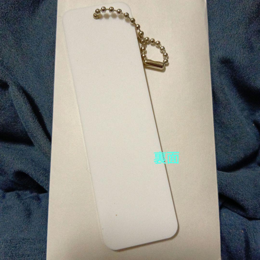 希少 極レア プリパラ プリパリ 南みれぃ アクリルキーホルダー