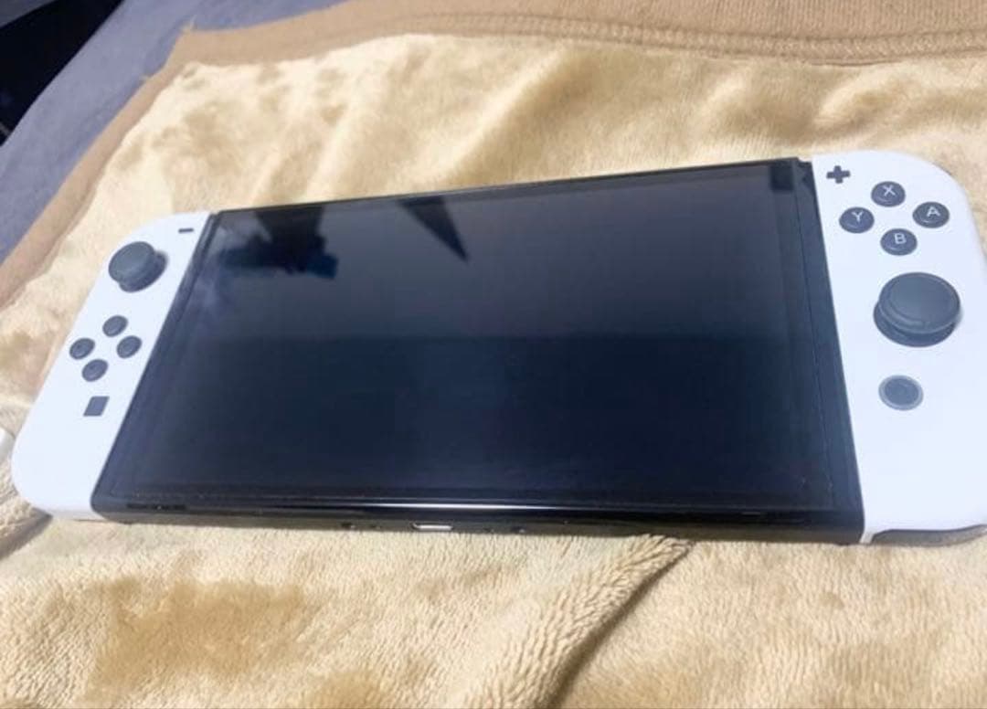 Switch 有機EL ホワイト 持ち歩きソフトカバー付き