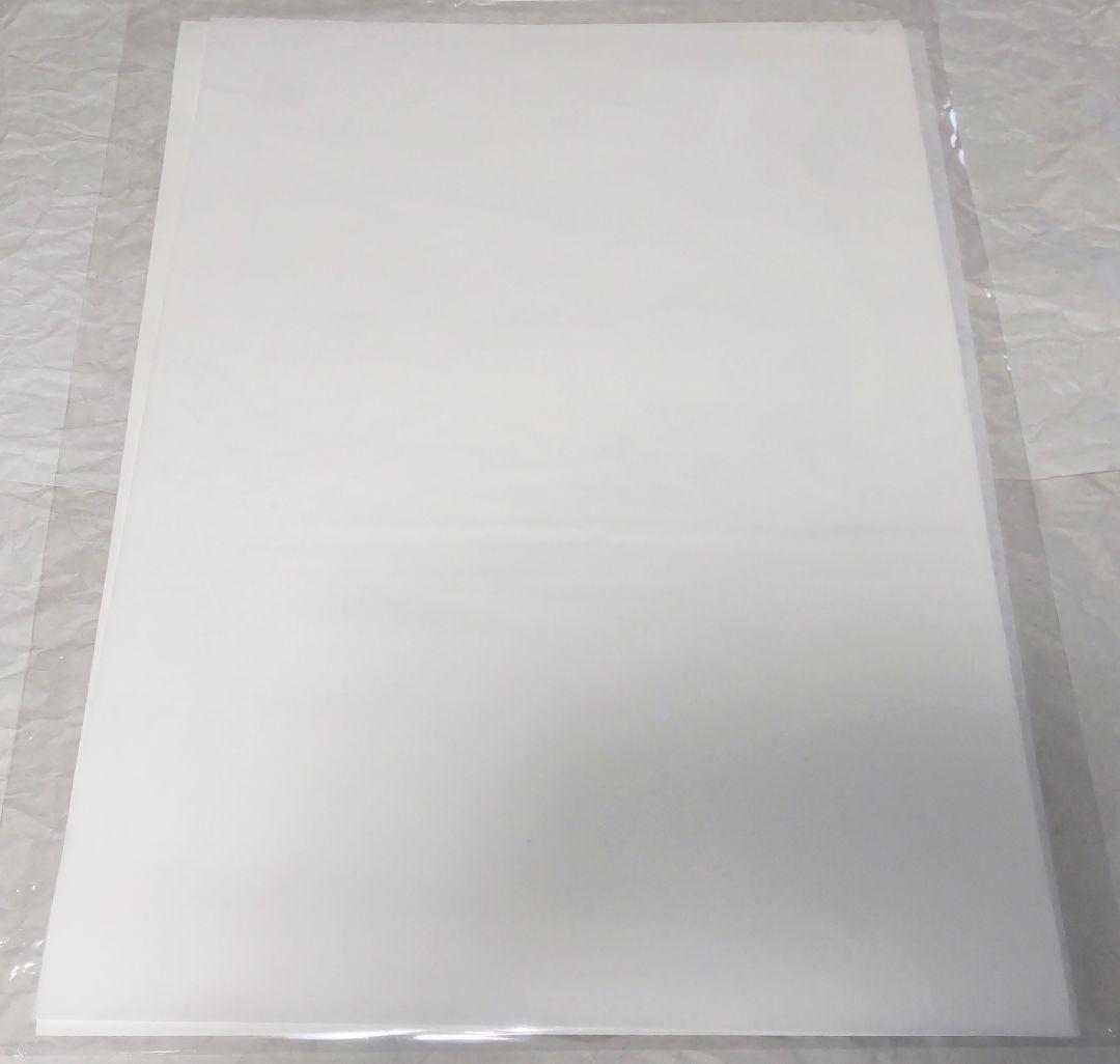 【限定】原画ワンダーウーマン