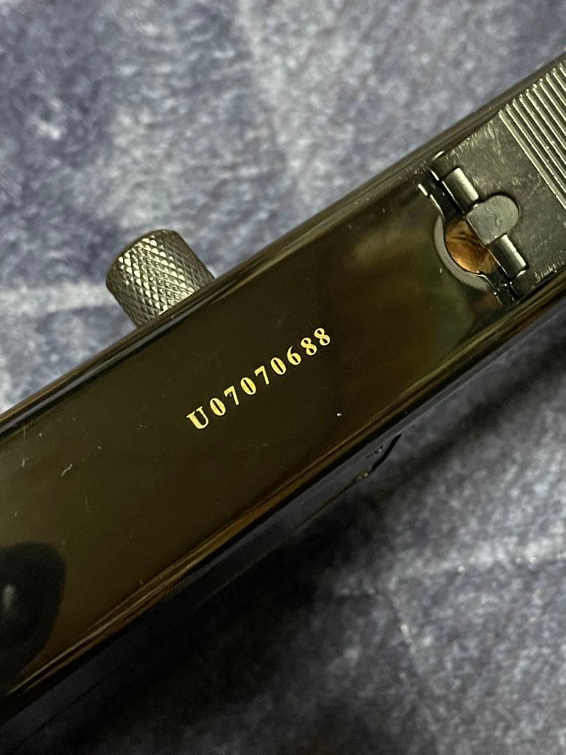 Spirit by Steinberger ピックアップ無し