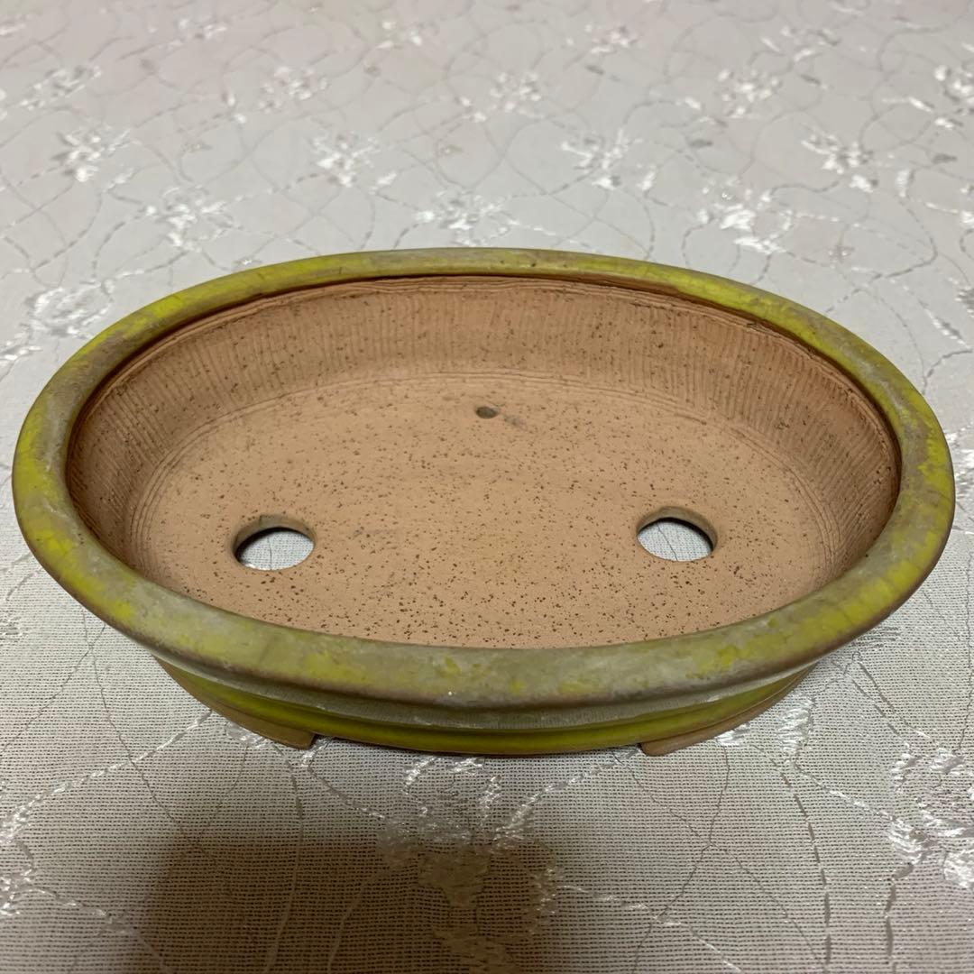 美芸　楕円　黄　盆栽鉢