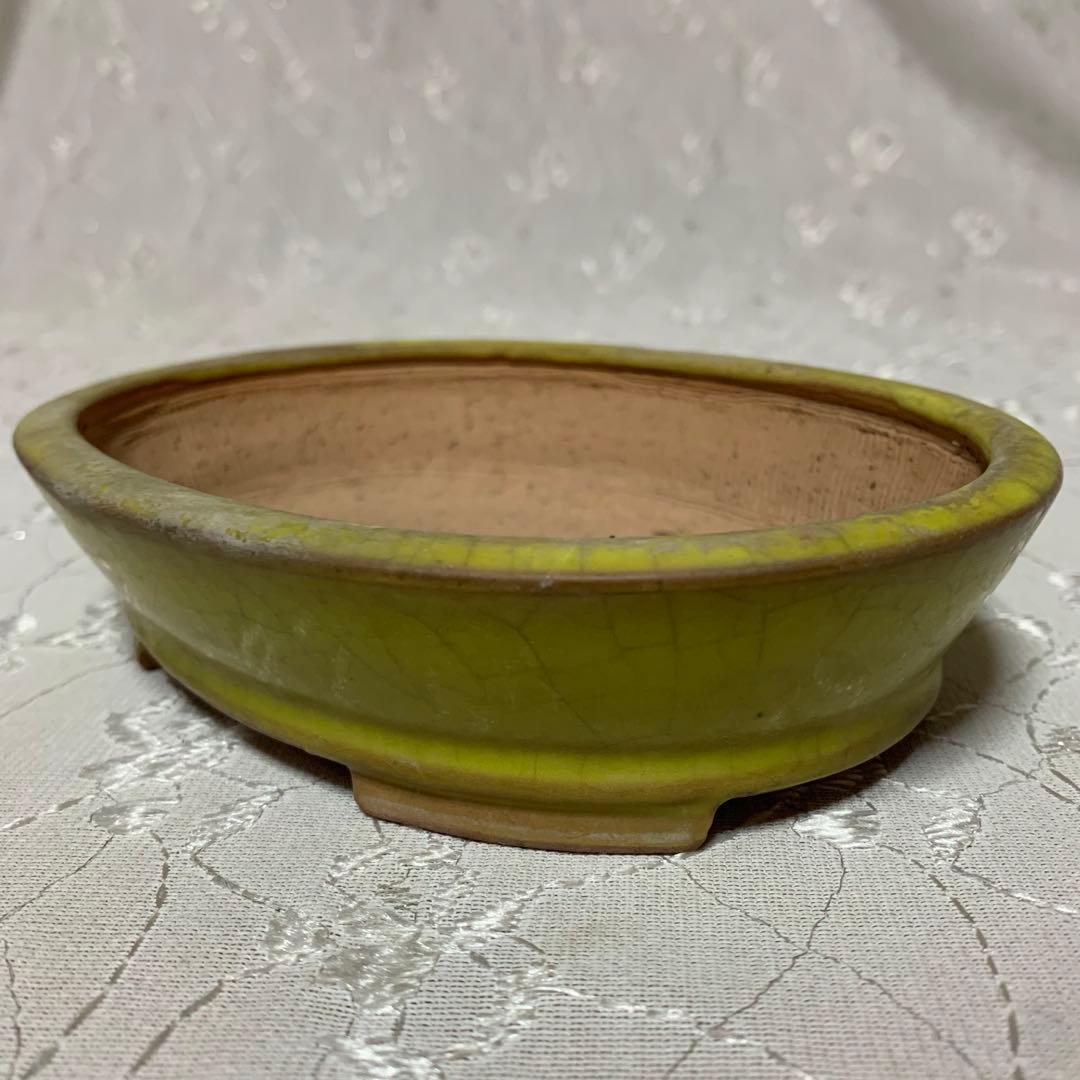 美芸　楕円　黄　盆栽鉢