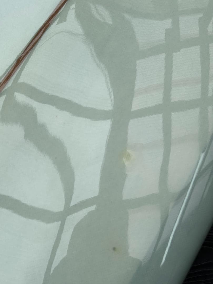 波乗り＆トレーディング