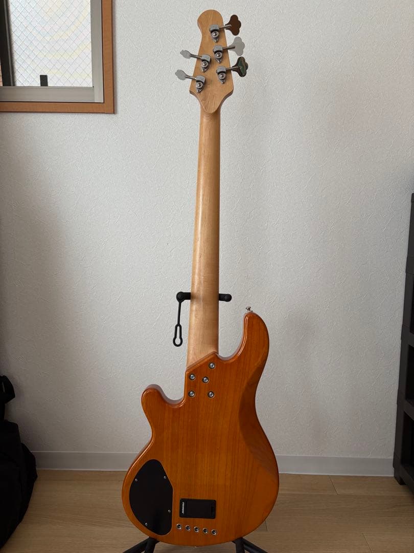 LAKLAND SL55-94DX 5弦　中古　美品