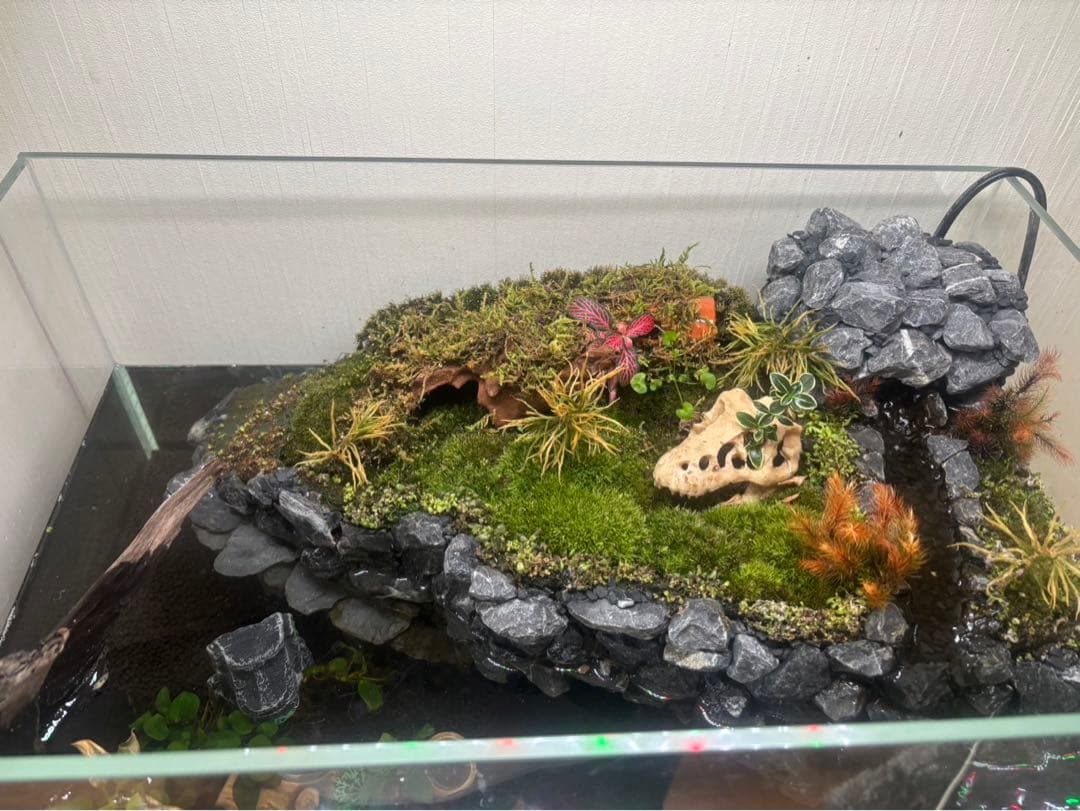 イモリウムセット　小川付　50×30×30