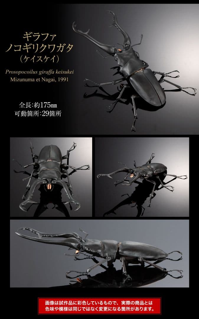 ギラファノコギリクワガタとマンディブラリスフタマタクワガタ オンライン限定全4種