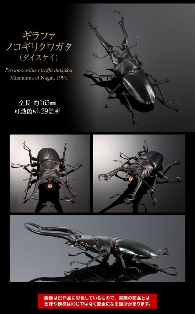 ギラファノコギリクワガタとマンディブラリスフタマタクワガタ オンライン限定全4種