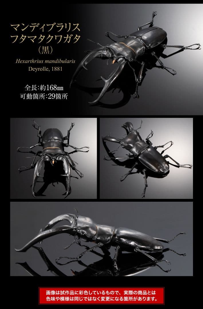 ギラファノコギリクワガタとマンディブラリスフタマタクワガタ オンライン限定全4種