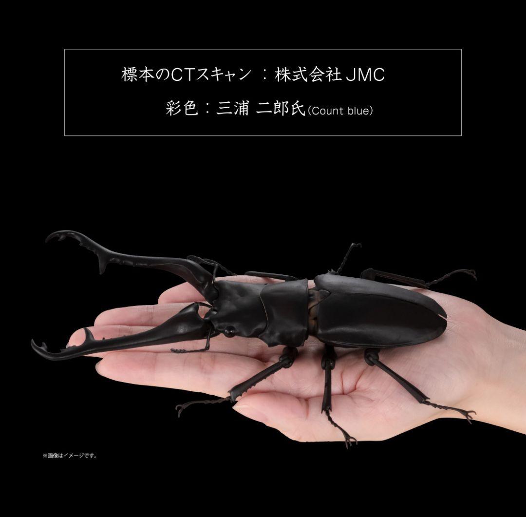 ギラファノコギリクワガタとマンディブラリスフタマタクワガタ オンライン限定全4種