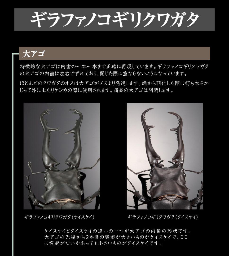 ギラファノコギリクワガタとマンディブラリスフタマタクワガタ オンライン限定全4種