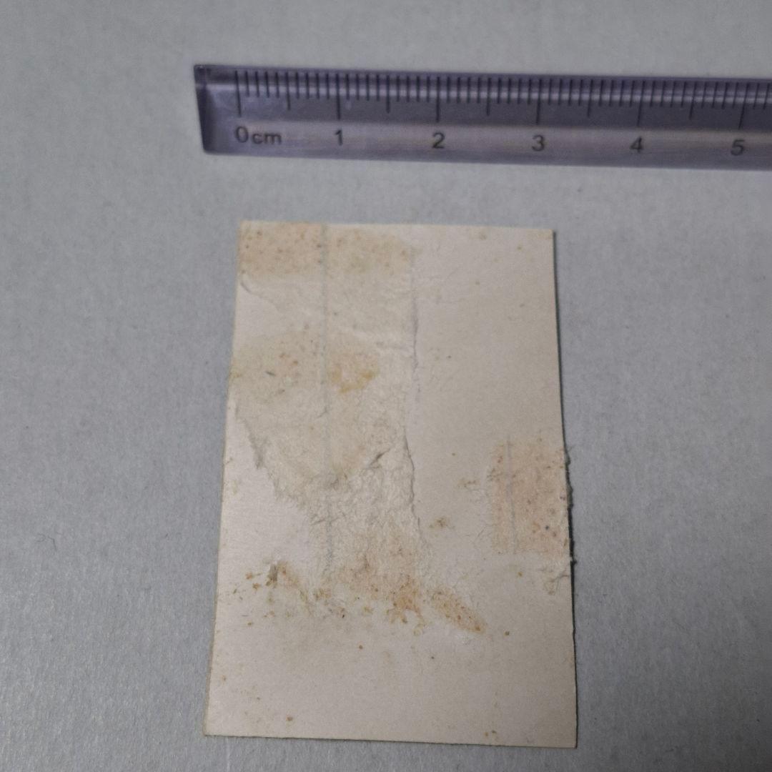 東映フライヤーズ 苅田久徳 昭和 レトロ 野球 ブロマイド カード