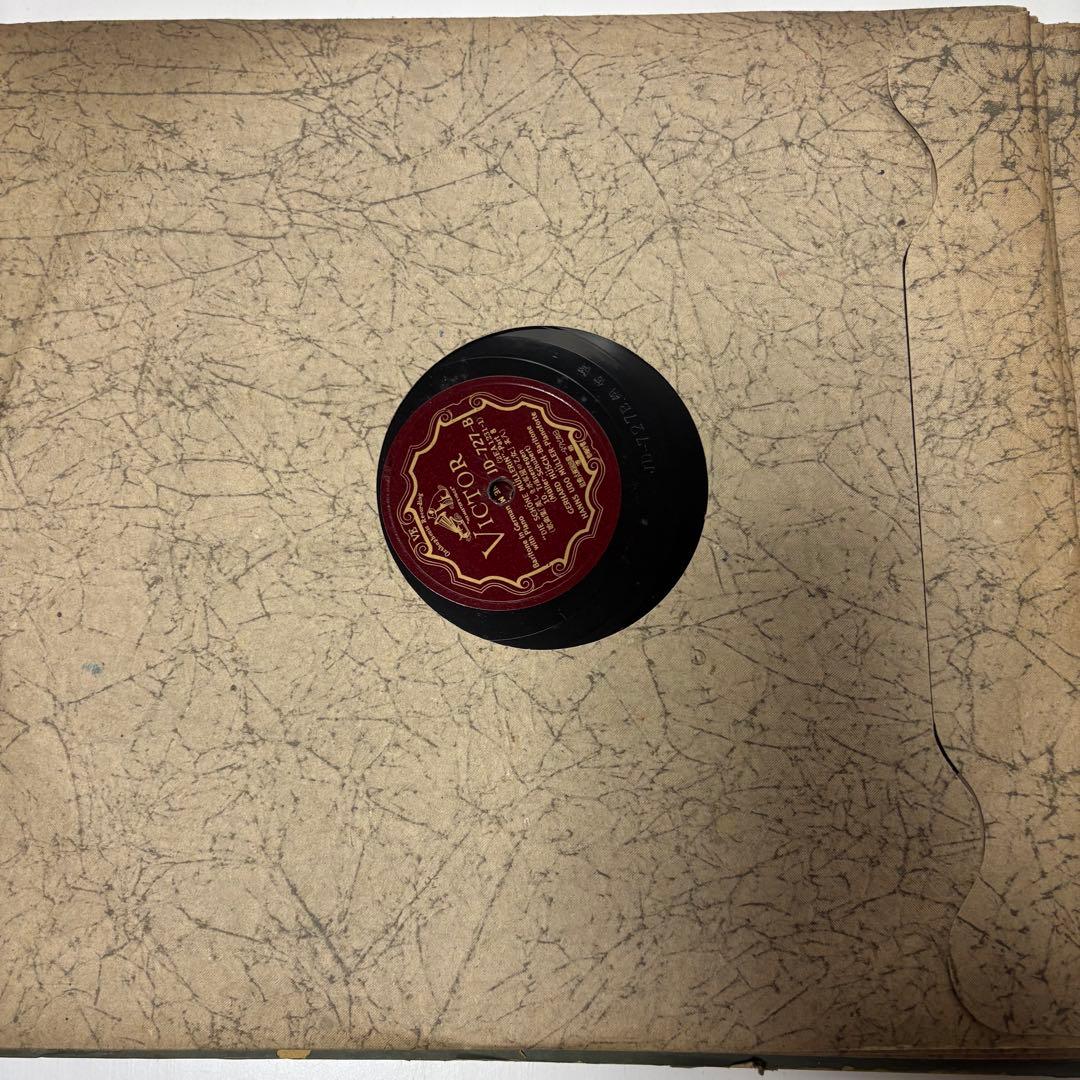 （シューベルト：美しき水車小屋の娘） レコード