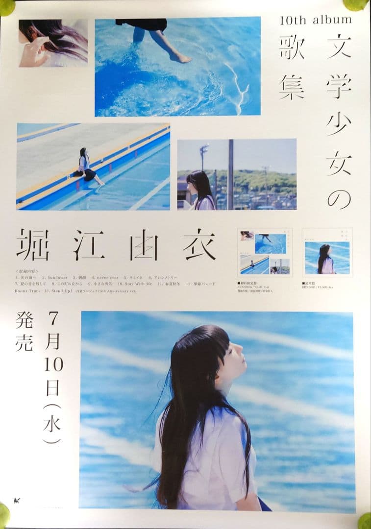 【非売品・激レア】堀江由衣「文学少女の歌集」告知 ポスター 声優