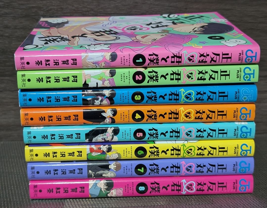 【22冊】 氷の城壁 正反対な君と僕