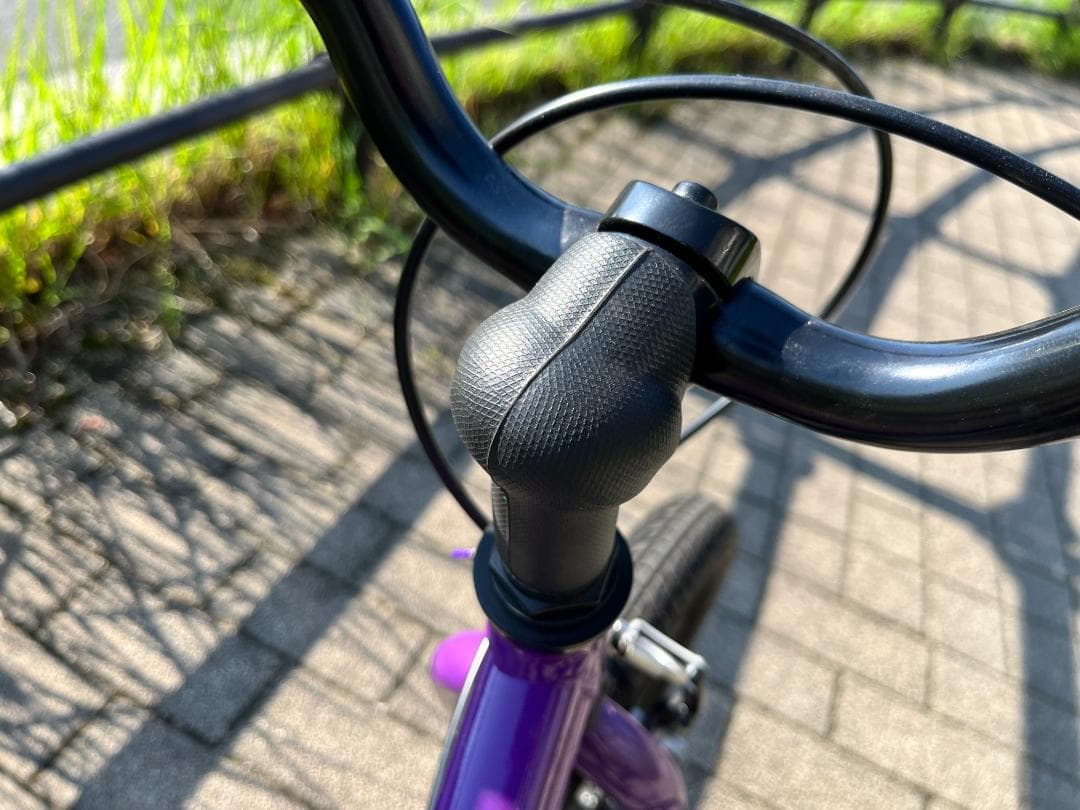 専用出品GIANT/Liv Adore キッズバイク 16インチ