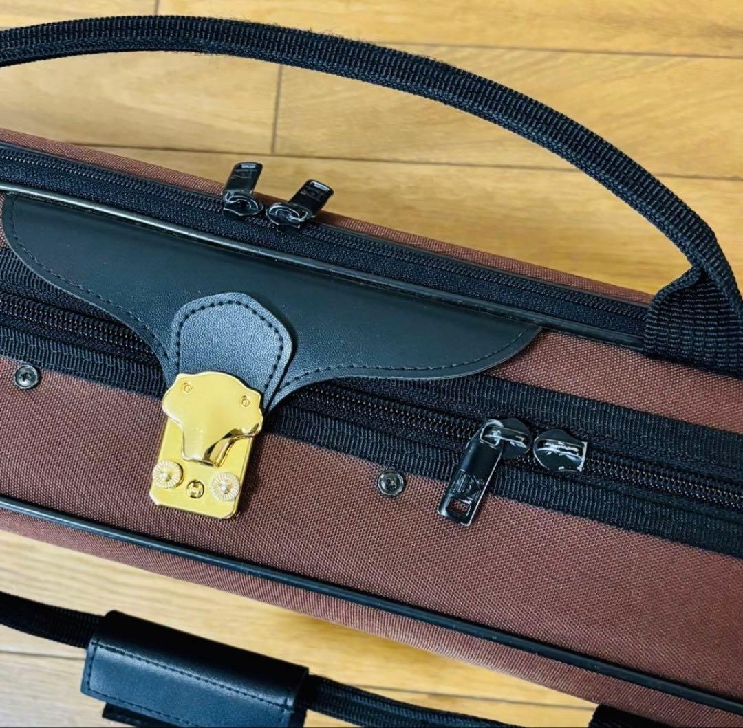 ハルシュタット バイオリンV-22 湿度計付きケースセット4/4